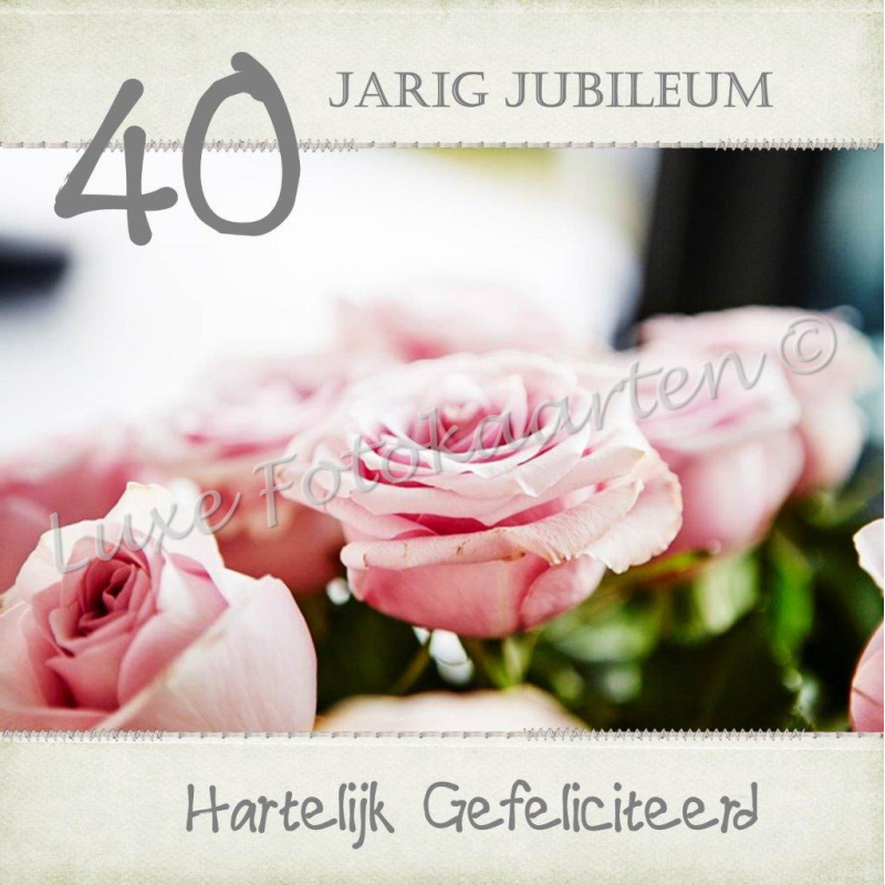 Jubileum - 40 jaar rose rozen
